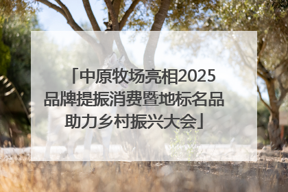 中原牧场亮相2025品牌提振消费暨地标名品助力乡村振兴大会