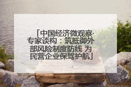 中国经济微观察·专家谈构：筑抵御外部风险制度防线 为民营企业保驾护航