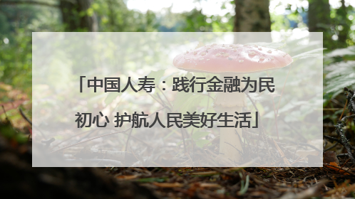 中国人寿：践行金融为民初心 护航人民美好生活
