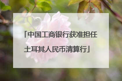 中国工商银行获准担任土耳其人民币清算行
