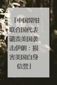 中国常驻联合国代表谴责美国袭击伊朗：损害美国自身信誉
