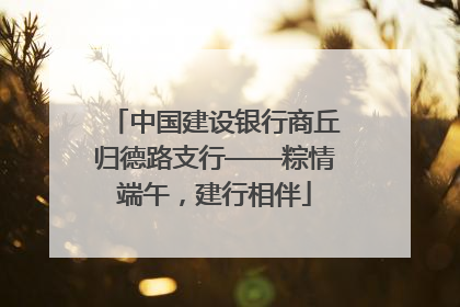 中国建设银行商丘归德路支行——粽情端午，建行相伴