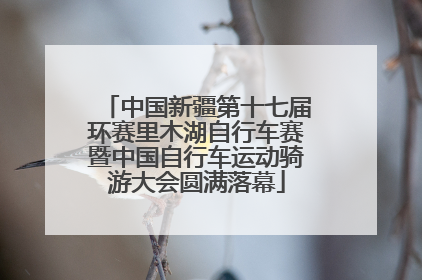 中国新疆第十七届环赛里木湖自行车赛暨中国自行车运动骑游大会圆满落幕