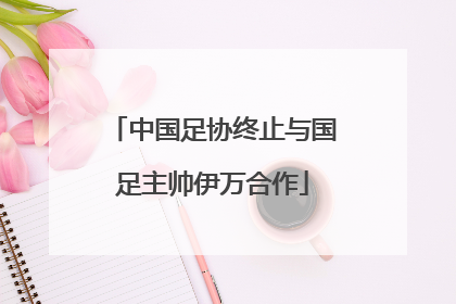中国足协终止与国足主帅伊万合作