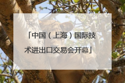 中国（上海）国际技术进出口交易会开幕