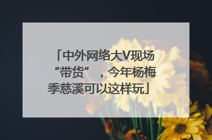 中外网络大V现场“带货”，今年杨梅季慈溪可以这样玩