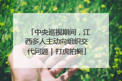 中央巡视期间，江西多人主动向组织交代问题｜打虎拍蝇