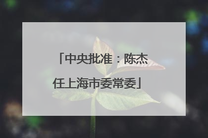 中央批准：陈杰任上海市委常委