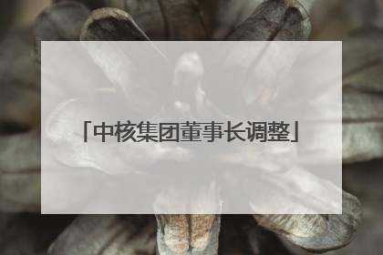 中核集团董事长调整