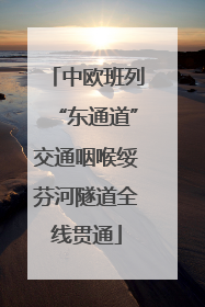中欧班列“东通道”交通咽喉绥芬河隧道全线贯通