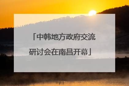中韩地方政府交流研讨会在南昌开幕