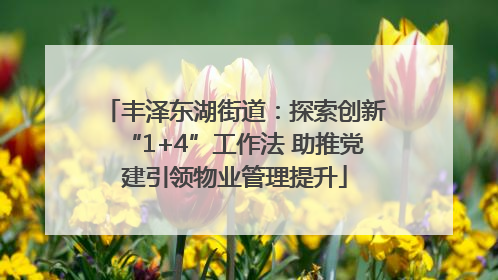 丰泽东湖街道：探索创新“1+4”工作法 助推党建引领物业管理提升