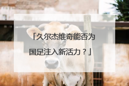 久尔杰维奇能否为国足注入新活力？