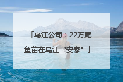 乌江公司：22万尾鱼苗在乌江“安家”