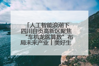 人工智能浪潮下 四川自贡高新区聚焦“车机龙医算数”布局未来产业丨美好生活有“盐”味