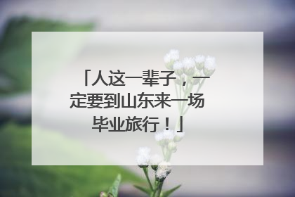 人这一辈子，一定要到山东来一场毕业旅行！