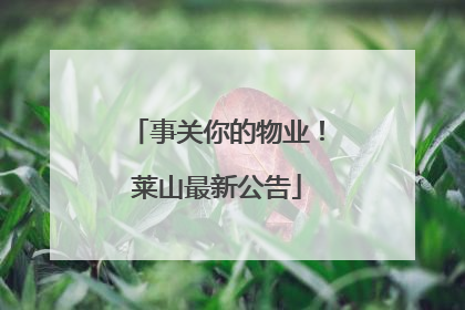 事关你的物业！莱山最新公告