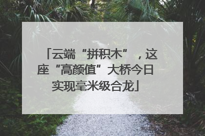 云端“拼积木”，这座“高颜值”大桥今日实现毫米级合龙