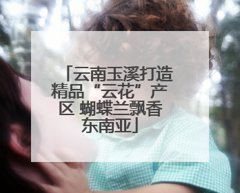 云南玉溪打造精品“云花”产区 蝴蝶兰飘香东南亚