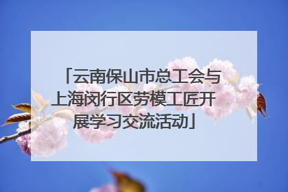 云南保山市总工会与上海闵行区劳模工匠开展学习交流活动