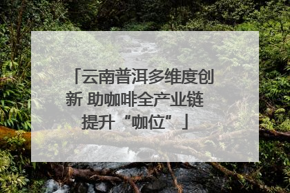 云南普洱多维度创新 助咖啡全产业链提升“咖位”