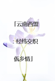 云南西盟：经纬交织佤乡情