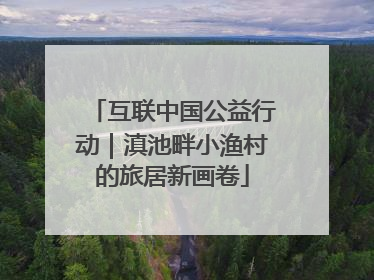 互联中国公益行动｜滇池畔小渔村的旅居新画卷