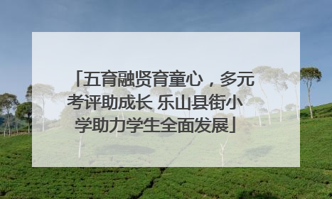 五育融贤育童心，多元考评助成长 乐山县街小学助力学生全面发展