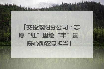 交投濮阳分公司：志愿“红”里绘“丰”景 暖心助农显担当