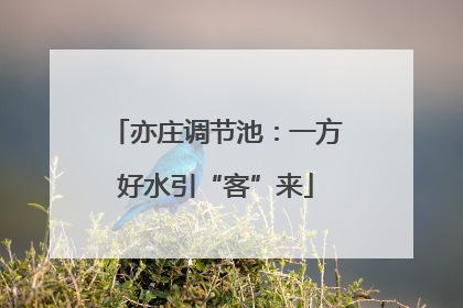 亦庄调节池：一方好水引“客”来