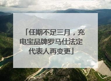 任期不足三月，充电宝品牌罗马仕法定代表人再变更