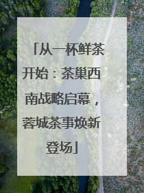 从一杯鲜茶开始：茶巢西南战略启幕，蓉城茶事焕新登场