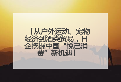 从户外运动、宠物经济到酒类贸易，日企挖掘中国“悦己消费”新机遇