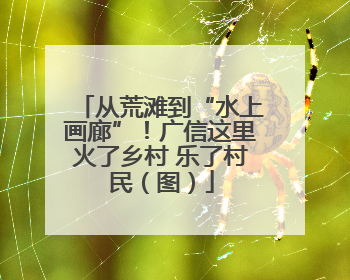 从荒滩到“水上画廊”！广信这里火了乡村 乐了村民（图）