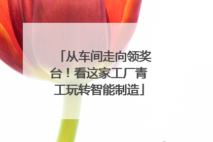 从车间走向领奖台！看这家工厂青工玩转智能制造