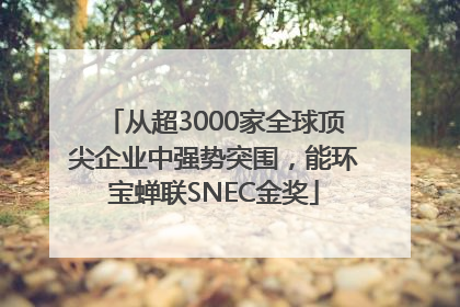 从超3000家全球顶尖企业中强势突围，能环宝蝉联SNEC金奖