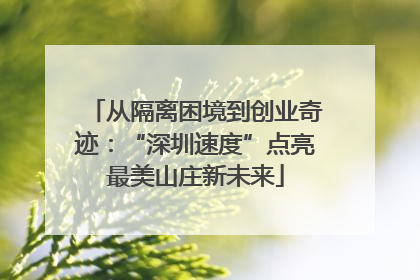 从隔离困境到创业奇迹：“深圳速度”点亮最美山庄新未来