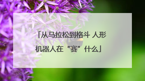 从马拉松到格斗 人形机器人在“赛”什么