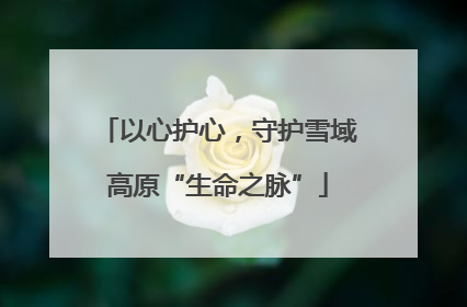 以心护心，守护雪域高原“生命之脉”