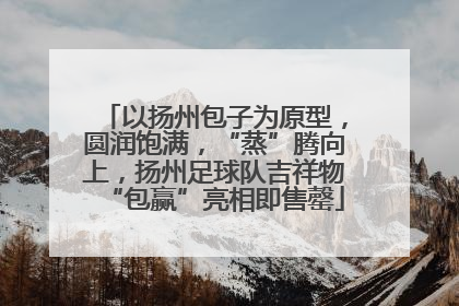 以扬州包子为原型，圆润饱满，“蒸”腾向上，扬州足球队吉祥物“包赢”亮相即售罄