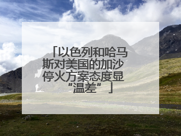 以色列和哈马斯对美国的加沙停火方案态度显“温差”