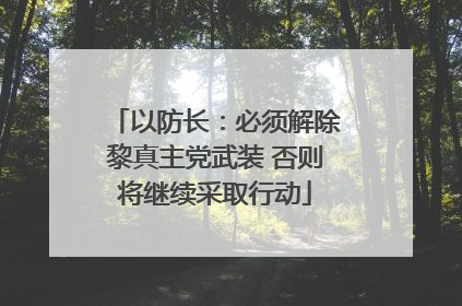 以防长：必须解除黎真主党武装 否则将继续采取行动