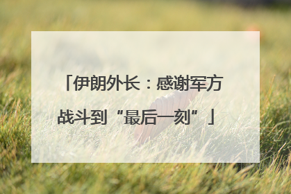 伊朗外长：感谢军方战斗到“最后一刻”