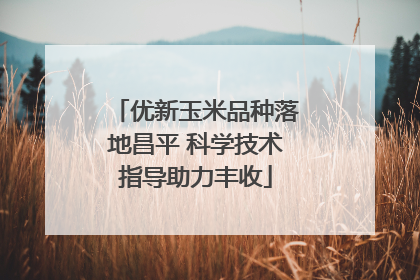 优新玉米品种落地昌平 科学技术指导助力丰收