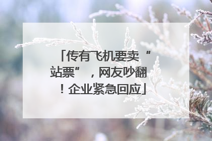 传有飞机要卖“站票”，网友吵翻！企业紧急回应