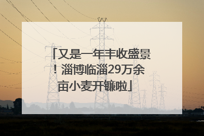 又是一年丰收盛景！淄博临淄29万余亩小麦开镰啦