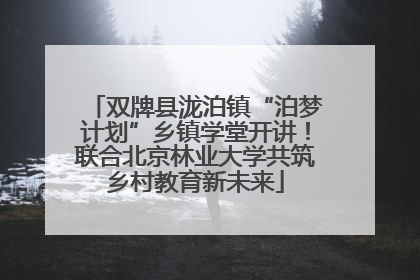 双牌县泷泊镇“泊梦计划”乡镇学堂开讲！联合北京林业大学共筑乡村教育新未来