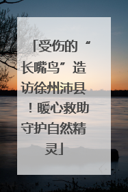 受伤的“长嘴鸟”造访徐州沛县！暖心救助守护自然精灵