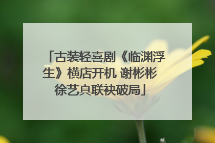 古装轻喜剧《临渊浮生》横店开机 谢彬彬徐艺真联袂破局