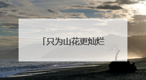 只为山花更灿烂——记全国先进工作者陈萍花
